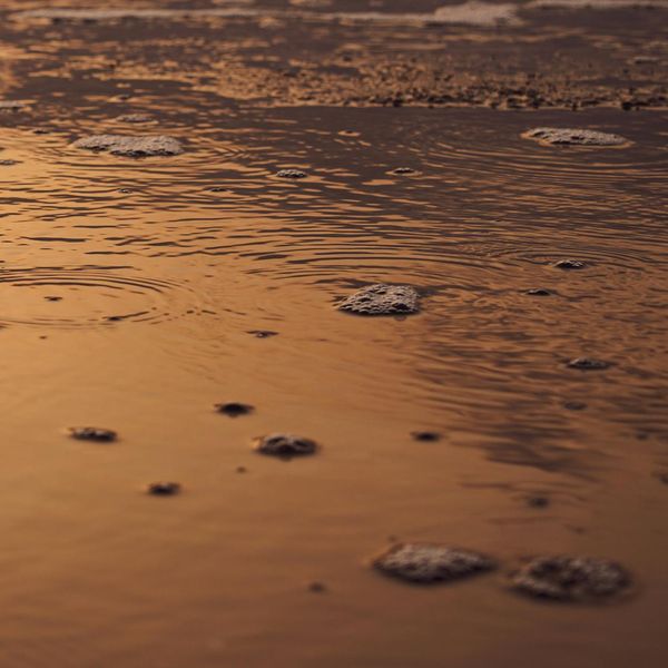 Soft golden light reflecting on a smooth dark surface.